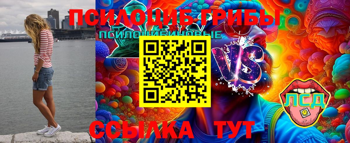 Псилоцибиновые грибы мухоморы  Вход с VPN  Тимашёвск  Галлюциногенные грибы Cubensis 