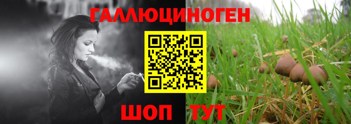 Галлюциногенные грибы мицелий Тимашёвск